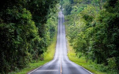 Level Up!  Les étapes du financement « startup » – Episode 2