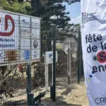 « Les chemins de l’intelligence », l’IRD fait de la science une fête