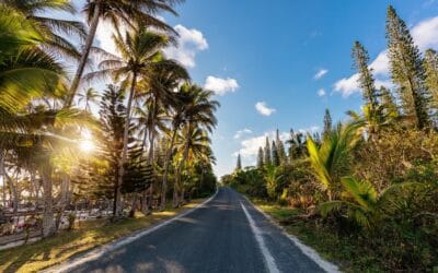 Level Up! — Les étapes du financement Startup – Épisode 4