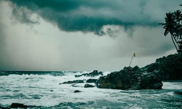 L&rsquo;IA dans l&rsquo;oeil du cyclone
