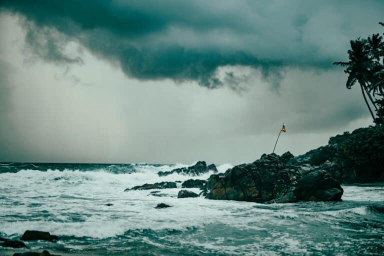 L’IA dans l’oeil du cyclone